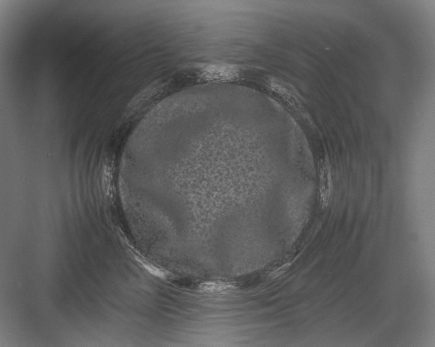 X0000082940714200702152214