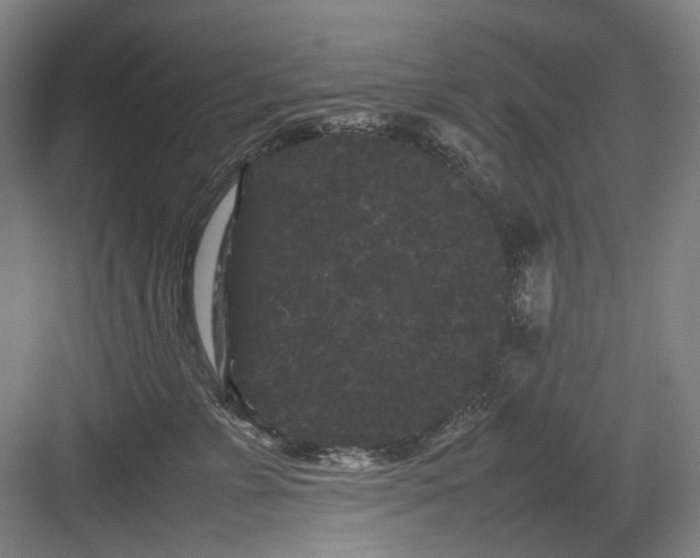 X0000082940715200702152214