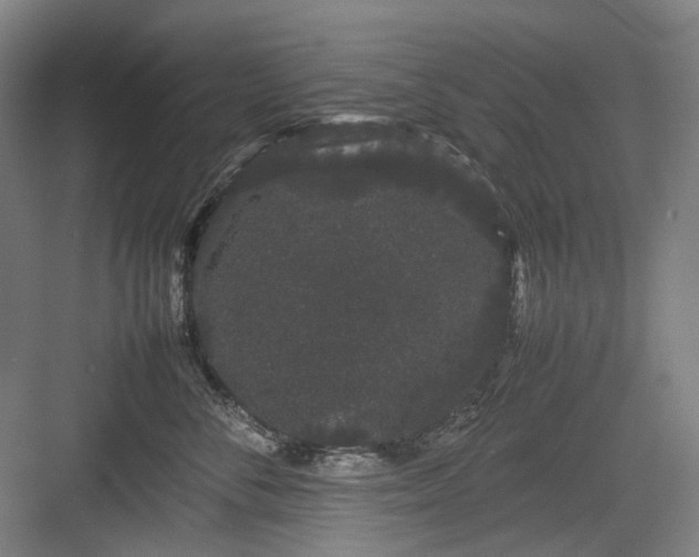 X0000082940716200702152214