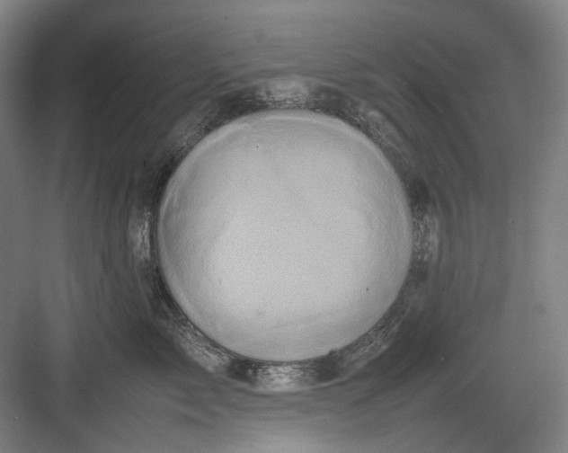 X0000082940717200702152214