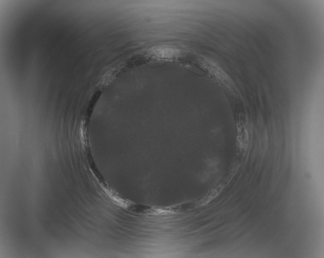 X0000082940718200702152214