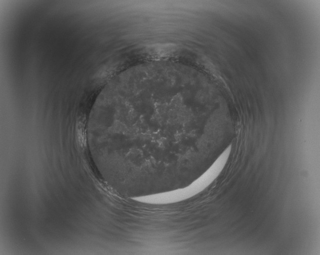 X0000082940719200702152214