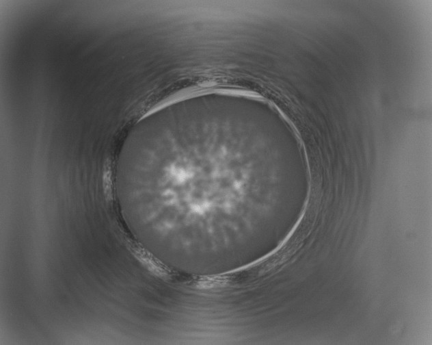 X0000082940720200702152214