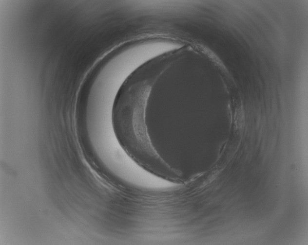 X0000082940722200702152213