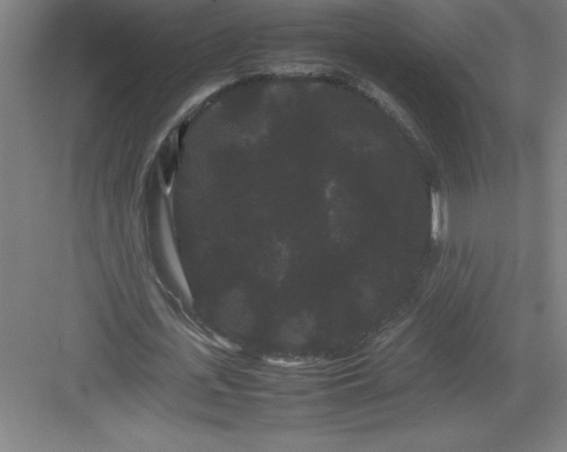 X0000082940723200702152213