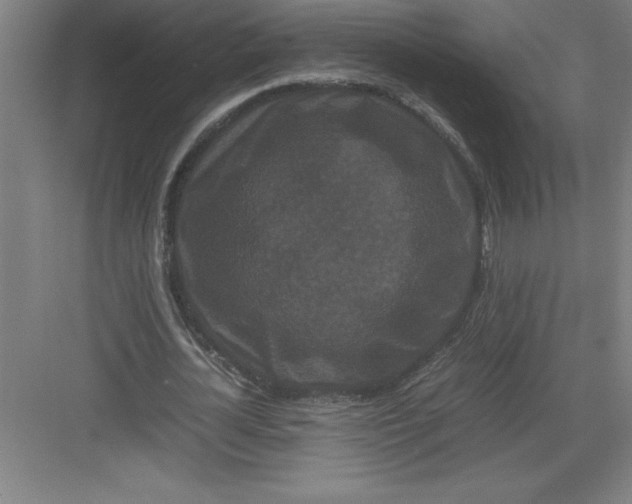 X0000082940724200702152213