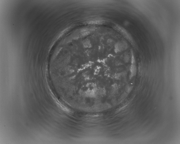 X0000082940725200702152213