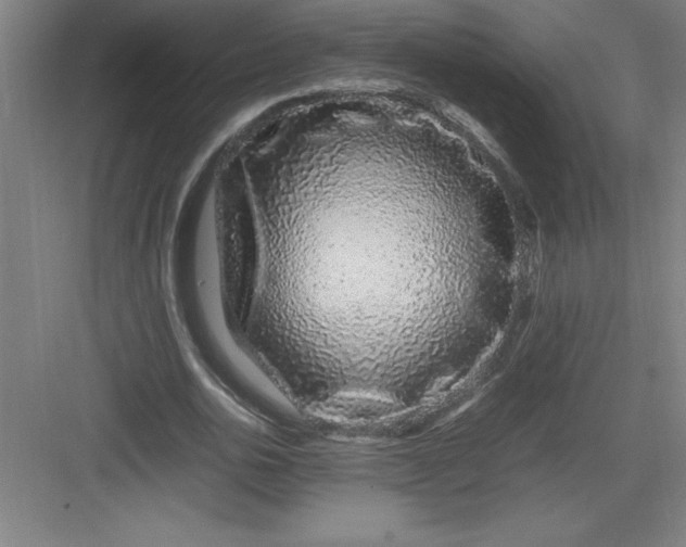 X0000082940726200702152213