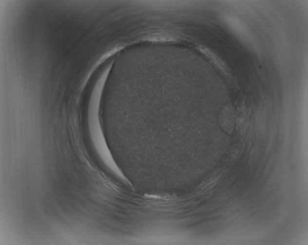 X0000082940727200702152213