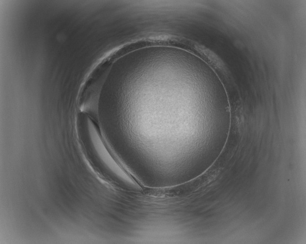 X0000082940728200702152213