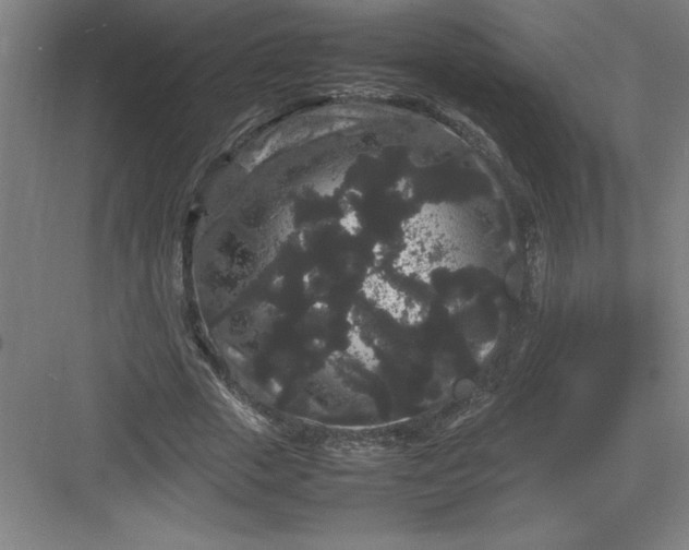 X0000082940729200702152213