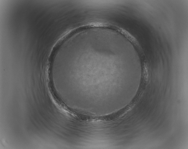 X0000082940730200702152213