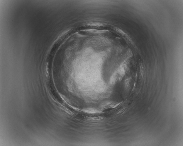 X0000082940731200702152213