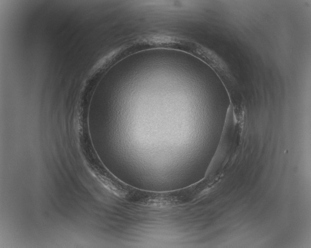 X0000082940732200702152213