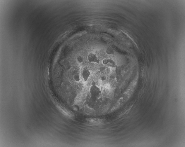 X0000082940733200702152213