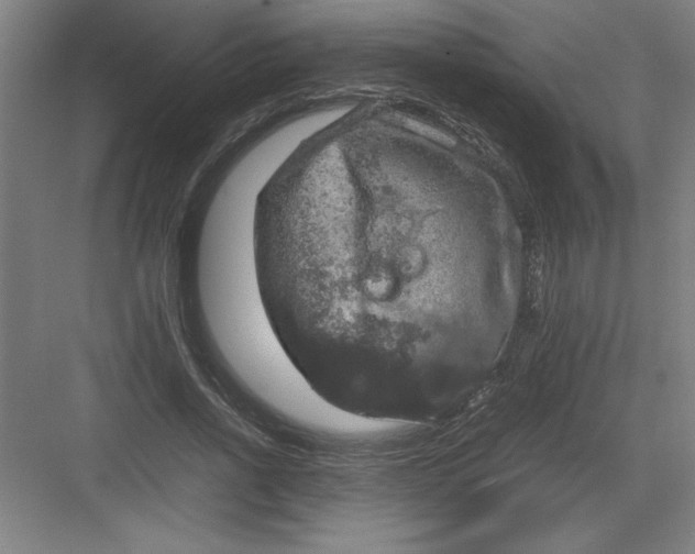 X0000082940734200702152213