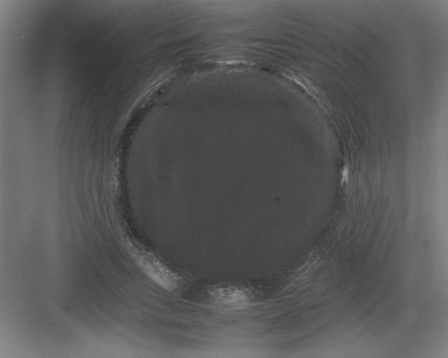 X0000082940735200702152213