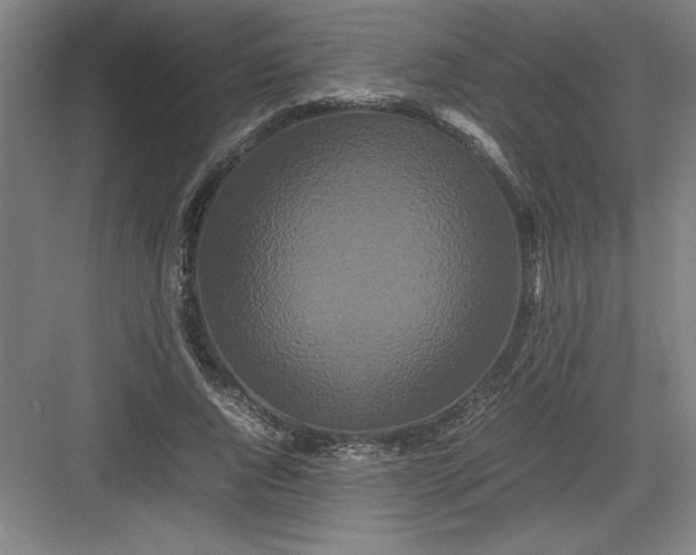 X0000082940736200702152213