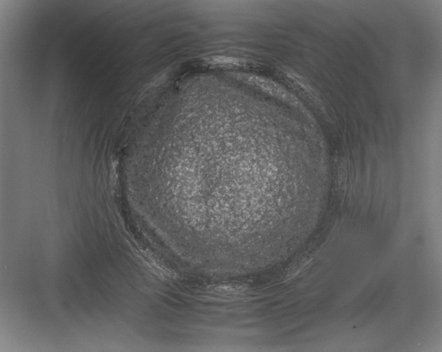 X0000082940737200702152213