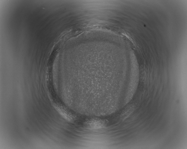 X0000082940738200702152213