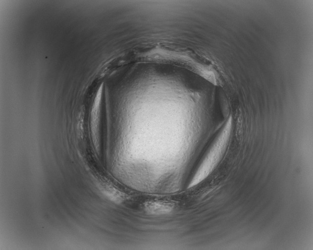 X0000082940739200702152213