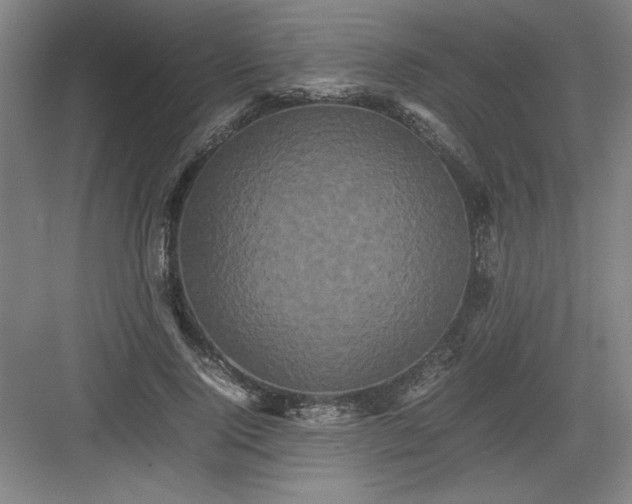 X0000082940740200702152213