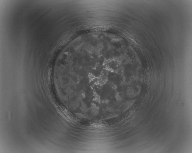 X0000082940742200702152213