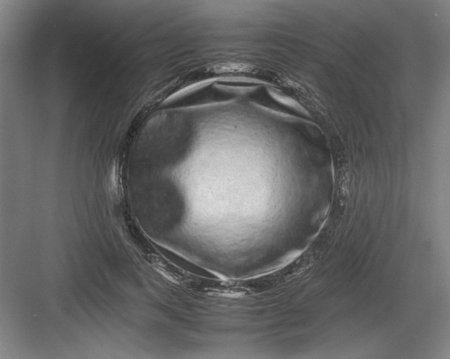 X0000082940743200702152213