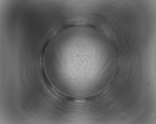 X0000082940744200702152213