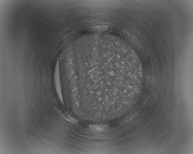 X0000082940745200702152214