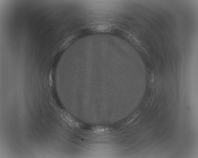 X0000082940746200702152214