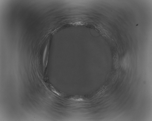 X0000082940747200702152214