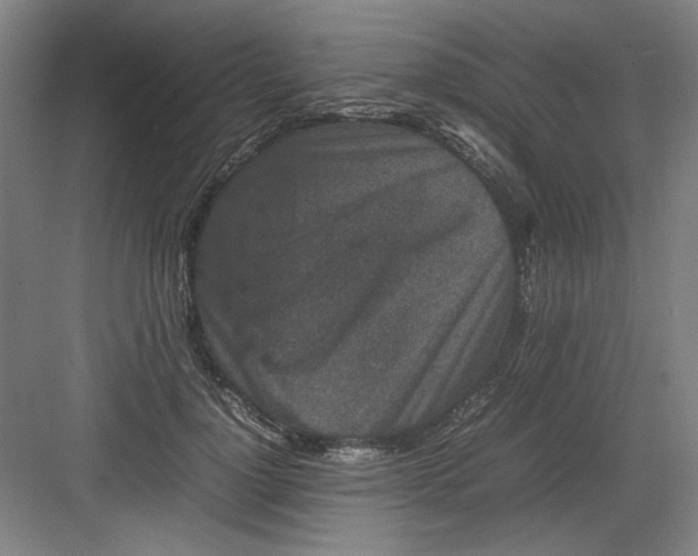 X0000082940748200702152214