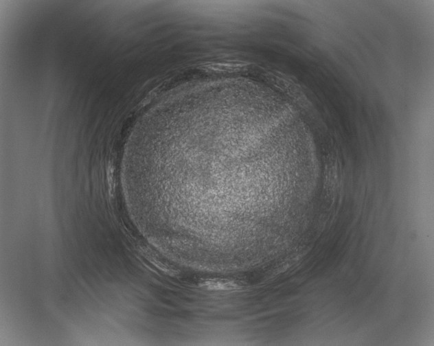 X0000082940749200702152214