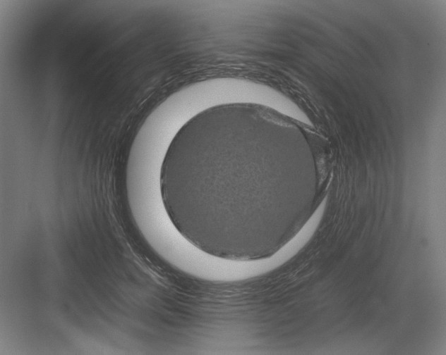 X0000082940750200702152214