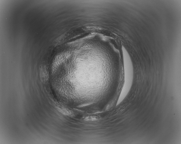 X0000082940751200702152214