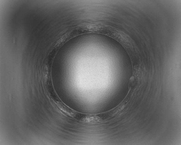 X0000082940752200702152214