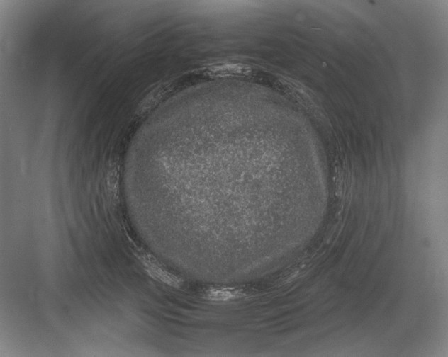 X0000082940753200702152214