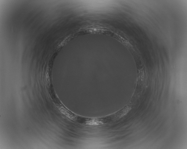 X0000082940754200702152214