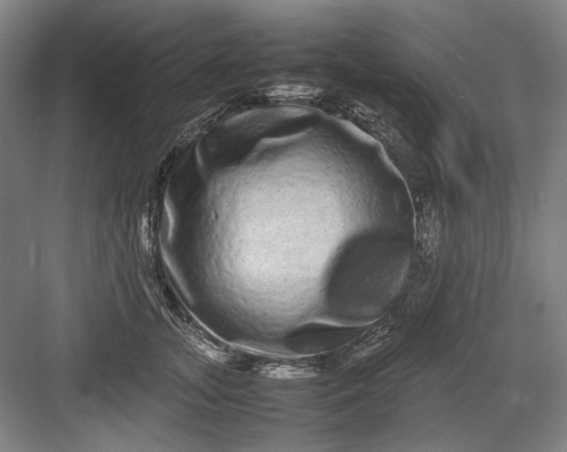 X0000082940755200702152214