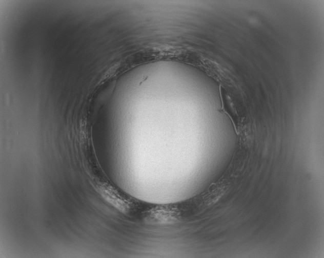 X0000082940756200702152214