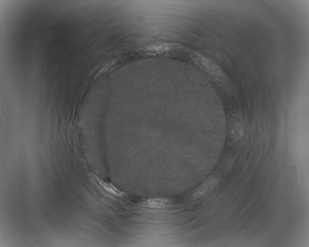 X0000082940758200702152214