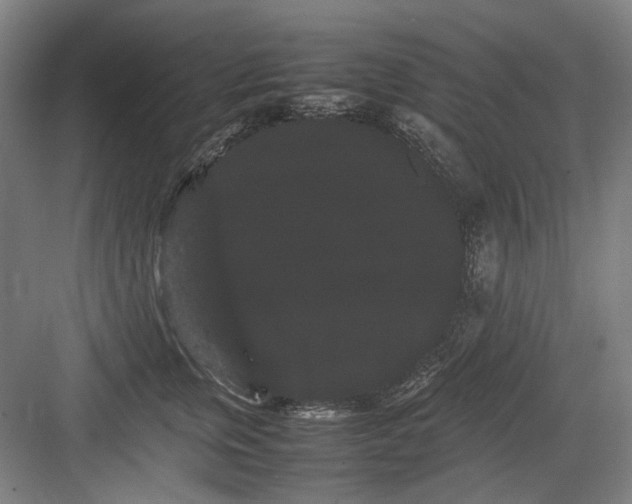 X0000082940759200702152214