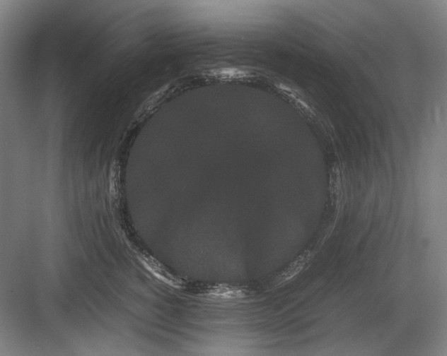 X0000082940760200702152214