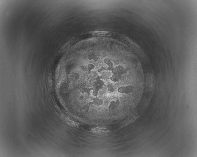 X0000082940761200702152214