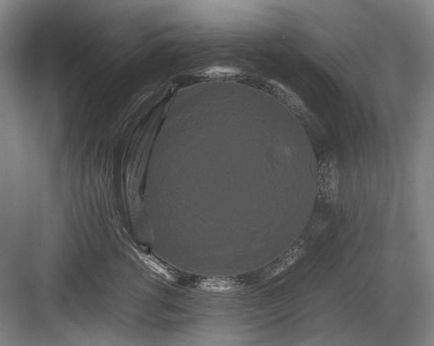 X0000082940762200702152214