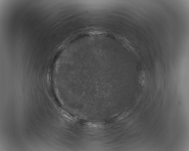 X0000082940763200702152214