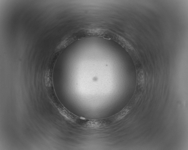 X0000082940764200702152214