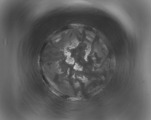 X0000082940765200702152214