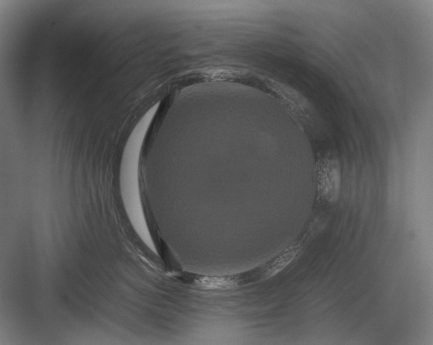 X0000082940766200702152214